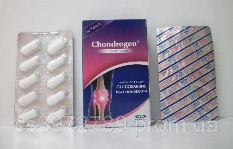5977904805_chondrogen-hondrogen-dlya.jpg